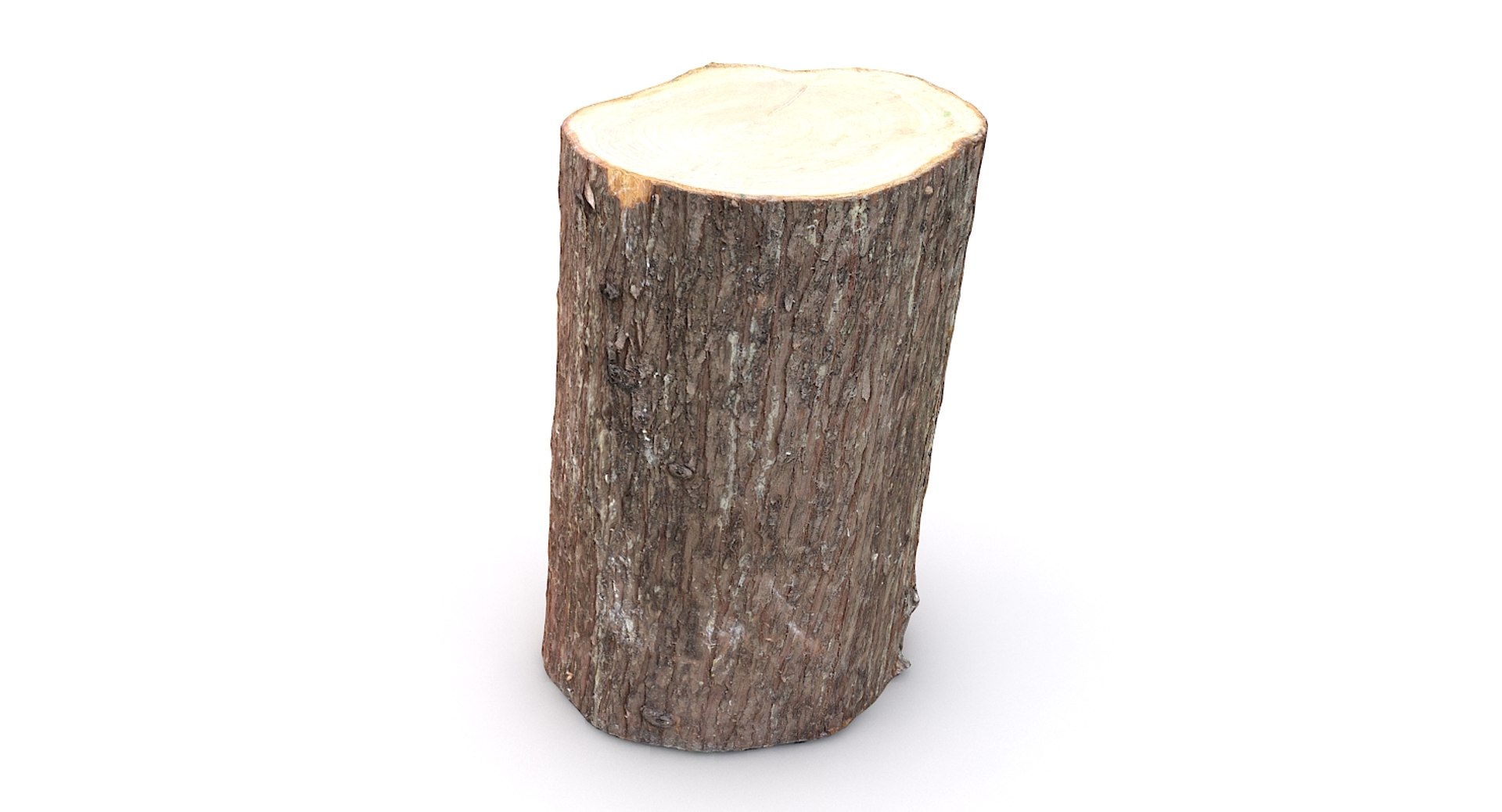 scan tree trunk stump model https://p.turbosquid.com/ts-thumb/1d/jiP49K/3j/treetrunk11_10/jpg/1613987588/1920x1080/fit_q87/4dbf4b594b74bab9a968e7788edc561fd5ed76ba/treetrunk11_10.jpg