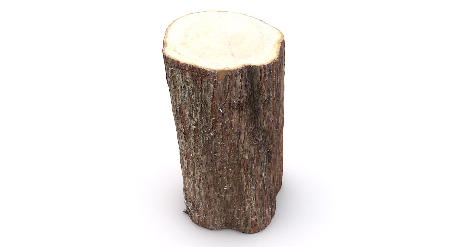 scan tree trunk stump model https://p.turbosquid.com/ts-thumb/1d/jiP49K/56/treetrunk11_05/jpg/1613987589/1920x1080/fit_q87/9fe75a8a1d901d4665dff594b94adca7399edefa/treetrunk11_05.jpg