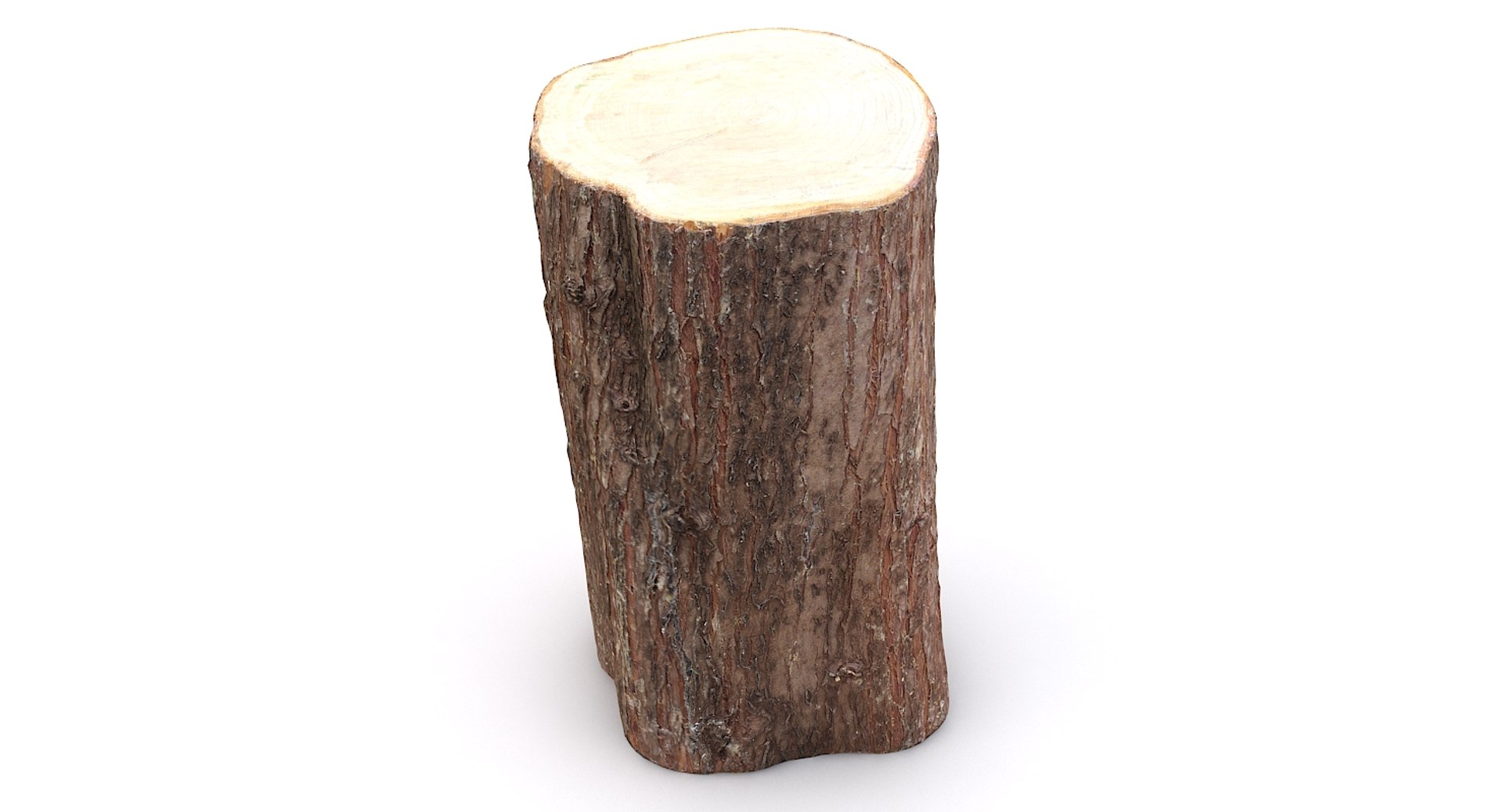 scan tree trunk stump model https://p.turbosquid.com/ts-thumb/1d/jiP49K/6h/treetrunk11_12/jpg/1613987587/1920x1080/fit_q87/c691109ee74668b74b0a38510c9cd6b565bef5a9/treetrunk11_12.jpg