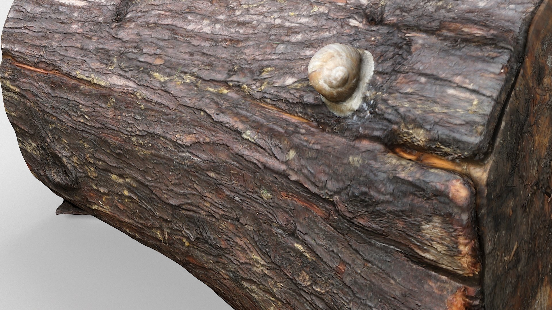 scan tree trunk stump model https://p.turbosquid.com/ts-thumb/1d/jiP49K/C1/treestump18_05/jpg/1613987653/1920x1080/fit_q87/ee900356d04fe8aa11ee1e932a38012e85046cbf/treestump18_05.jpg