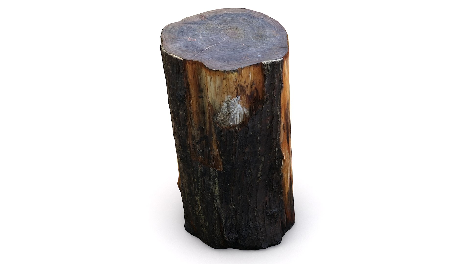 scan tree trunk stump model https://p.turbosquid.com/ts-thumb/1d/jiP49K/Dw/treestump12_11/jpg/1613987617/1920x1080/fit_q87/20280414999345658ce25d34f6cbec3815a13f43/treestump12_11.jpg