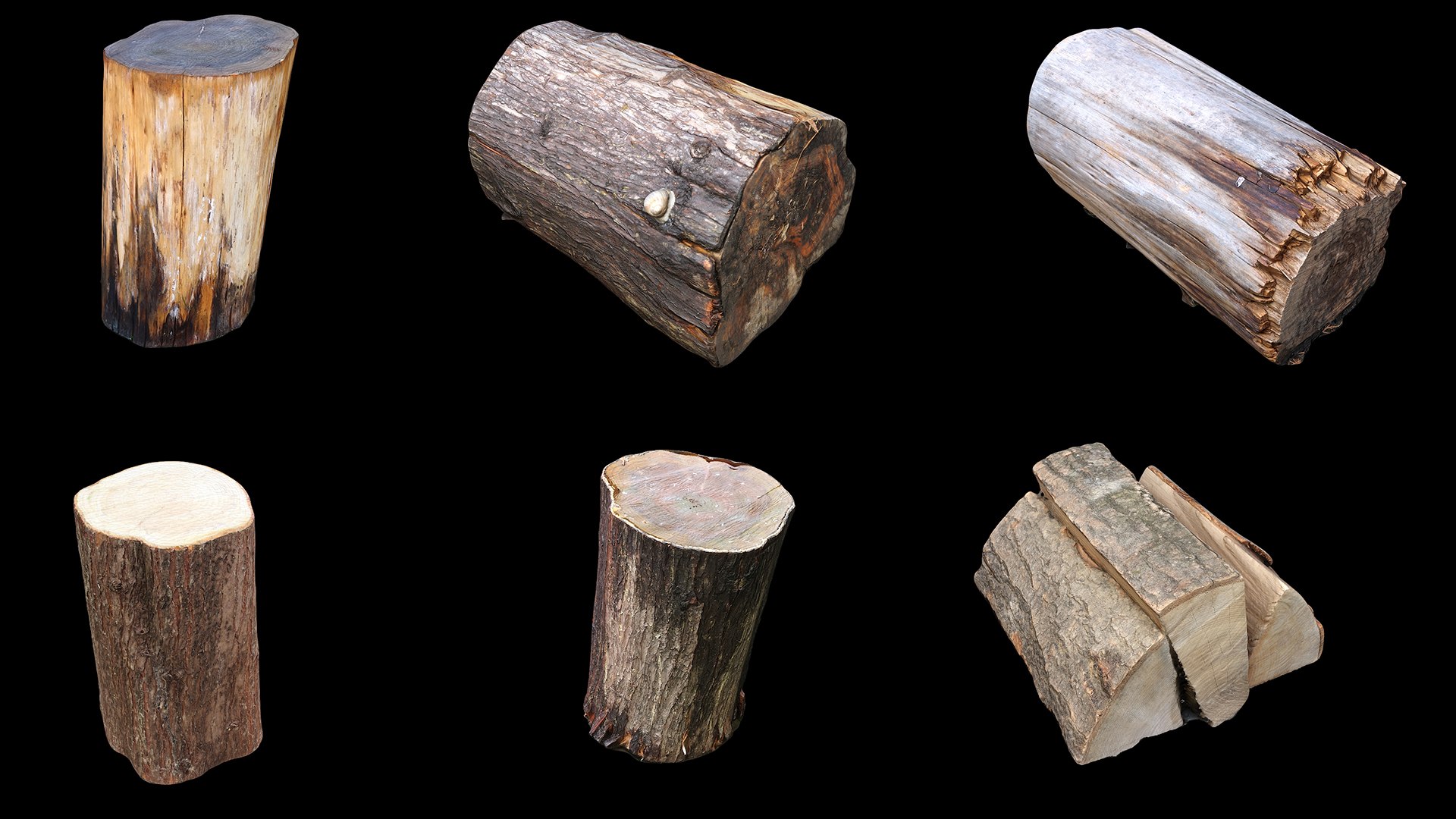 scan tree trunk stump model https://p.turbosquid.com/ts-thumb/1d/jiP49K/Et/collection07/jpg/1613987539/1920x1080/fit_q87/dd386903ce7b2d250b0cb7f687dbed606a66fe9b/collection07.jpg