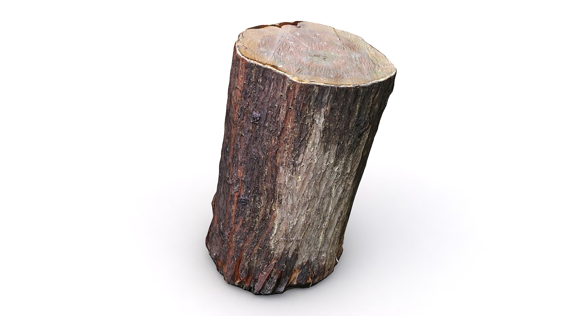 scan tree trunk stump model https://p.turbosquid.com/ts-thumb/1d/jiP49K/KI/treetrunkseat03_07/jpg/1613987712/1920x1080/fit_q87/2dc69312e72156183ee98935eda29f372cc66de5/treetrunkseat03_07.jpg