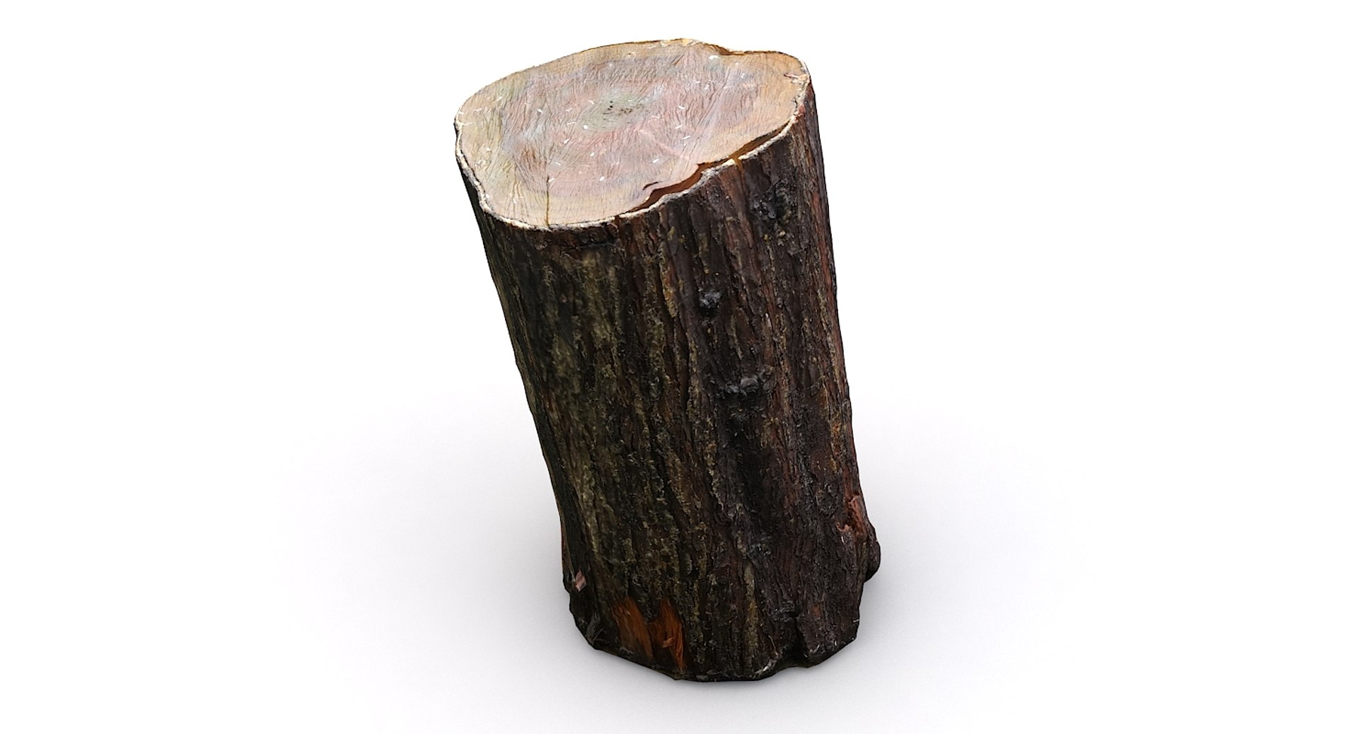 scan tree trunk stump model https://p.turbosquid.com/ts-thumb/1d/jiP49K/Ro/treetrunkseat03_13/jpg/1613987713/1920x1080/fit_q87/2caeca7a3ab5600911de470a604e7c4cbdeef426/treetrunkseat03_13.jpg