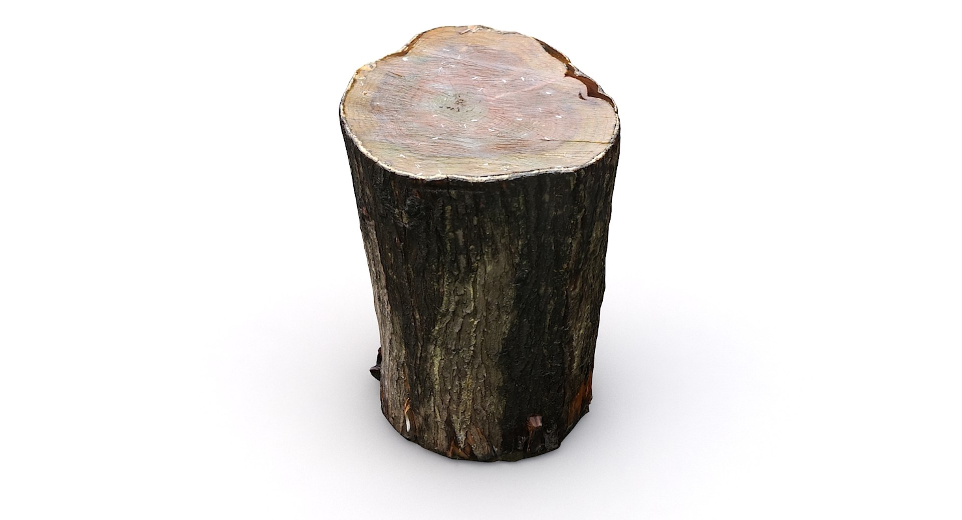 scan tree trunk stump model https://p.turbosquid.com/ts-thumb/1d/jiP49K/T3/treetrunkseat03_15/jpg/1613987712/1920x1080/fit_q87/4dc8650f418aa226d548d7be0fdd4c53ad539d61/treetrunkseat03_15.jpg