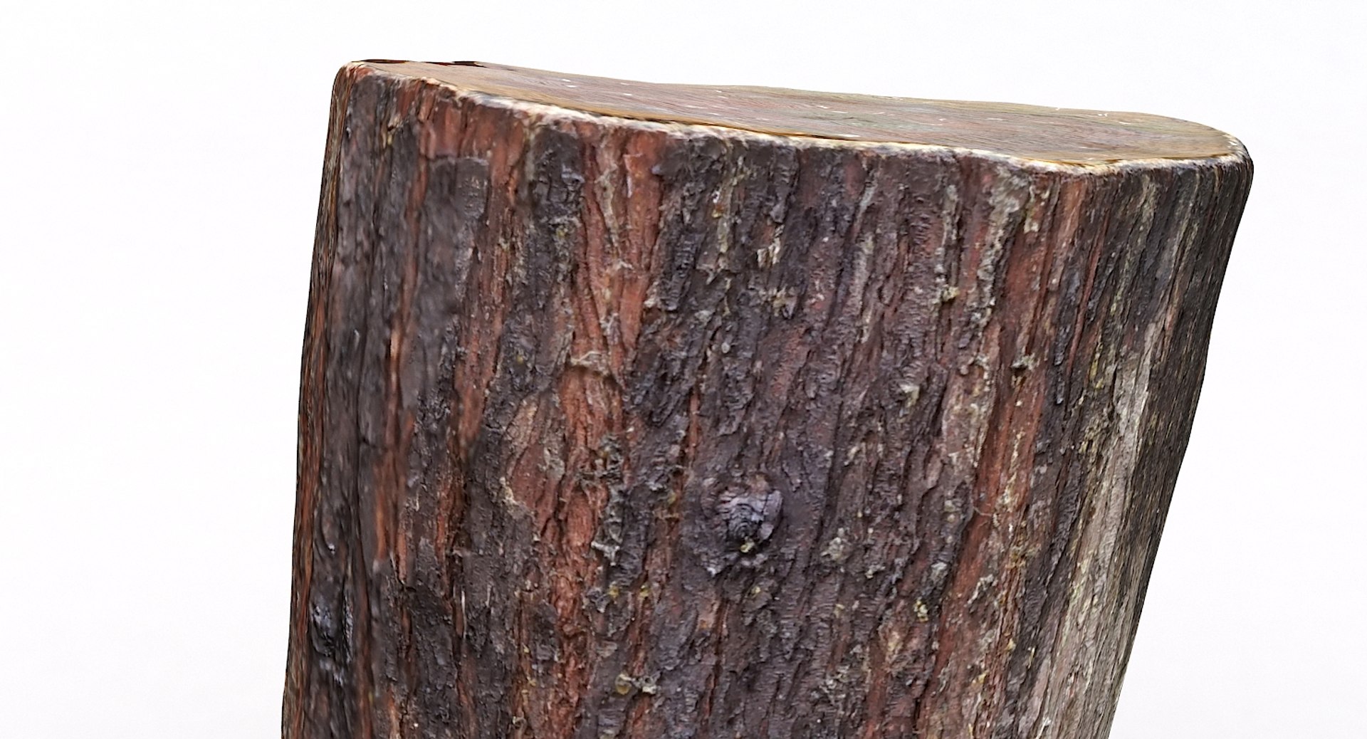 scan tree trunk stump model https://p.turbosquid.com/ts-thumb/1d/jiP49K/Wh/treetrunkseat03_09/jpg/1613987716/1920x1080/fit_q87/3b0913aa7bdb855ccea7c48bb98b88bf971eb78e/treetrunkseat03_09.jpg