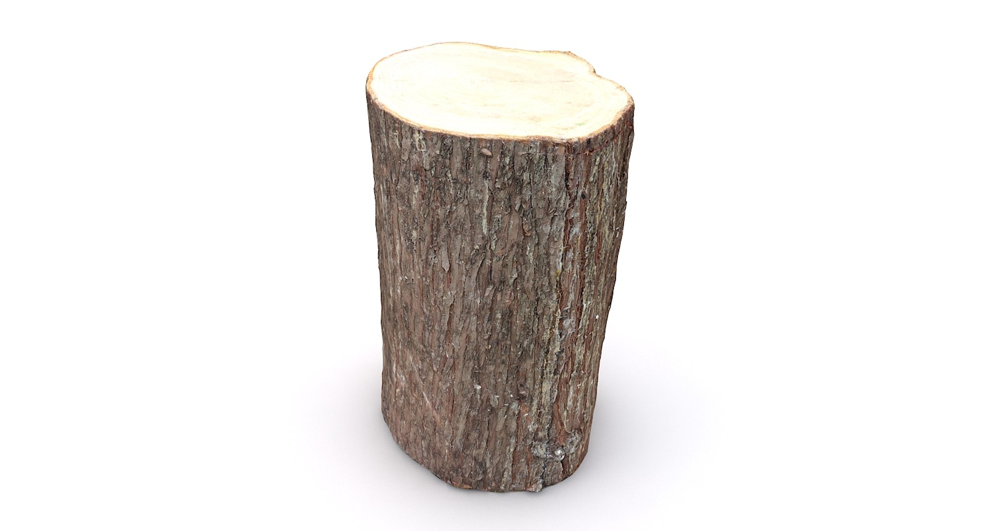 scan tree trunk stump model https://p.turbosquid.com/ts-thumb/1d/jiP49K/hX/treetrunk11_08/jpg/1613987588/1920x1080/fit_q87/b21dbbe6484f3d57119acb3a3eb8143da3f1103d/treetrunk11_08.jpg