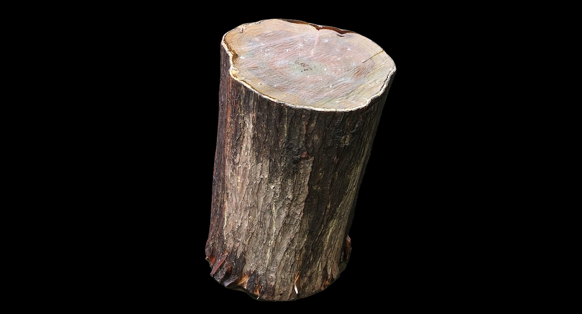 scan tree trunk stump model https://p.turbosquid.com/ts-thumb/1d/jiP49K/hX/treetrunkseat03_02/jpg/1613987532/1920x1080/fit_q87/cdf7a85046b3905499f725337e141ecfd19e2eb5/treetrunkseat03_02.jpg