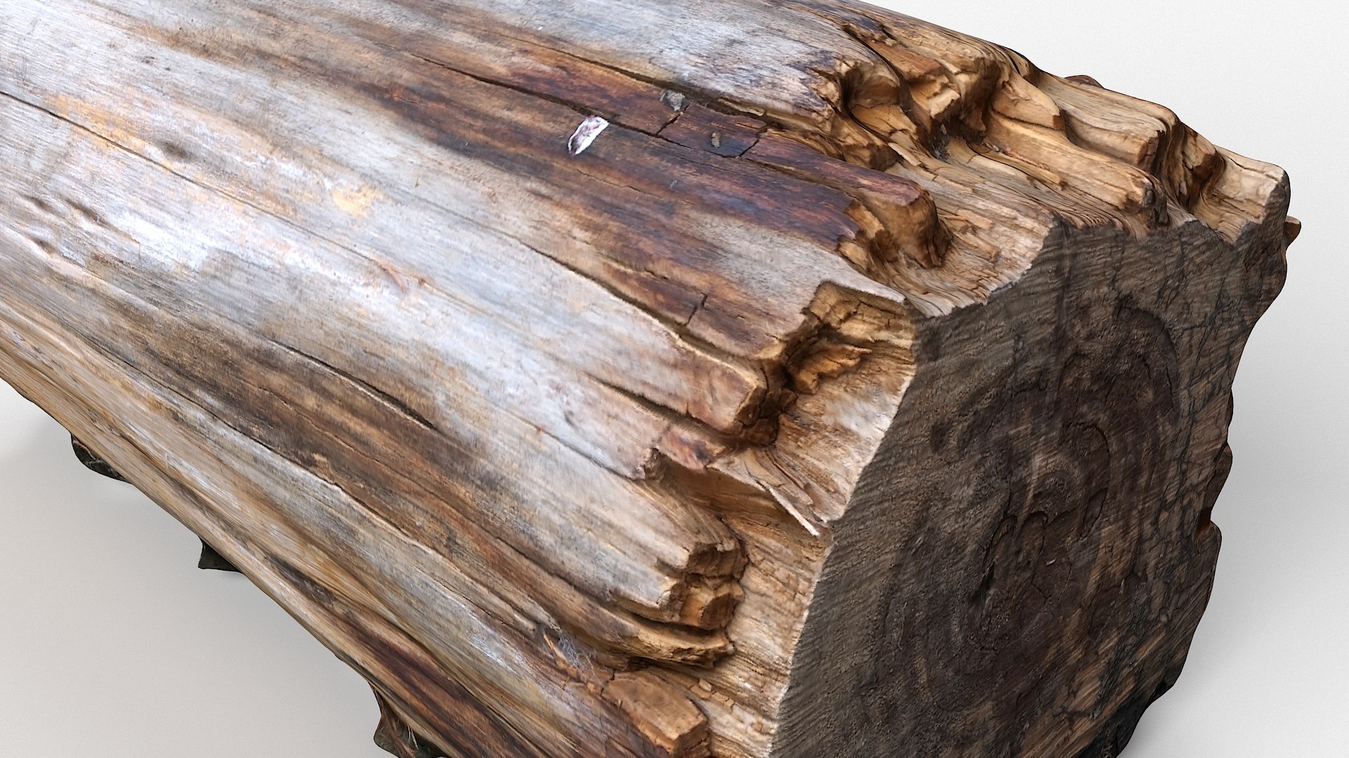 scan tree trunk stump model https://p.turbosquid.com/ts-thumb/1d/jiP49K/iG/treestump23_06/jpg/1613987557/1920x1080/fit_q87/535d9b8fe73d9e34b7ec8f64d6579085ef909e6c/treestump23_06.jpg