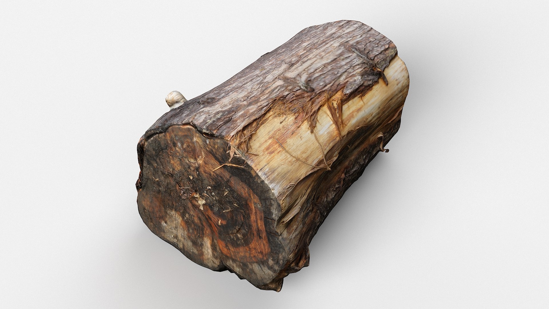 scan tree trunk stump model https://p.turbosquid.com/ts-thumb/1d/jiP49K/io/treestump18_11/jpg/1613987650/1920x1080/fit_q87/3e1e2573efabcd05ca2bfb0d716dde272e69da7d/treestump18_11.jpg
