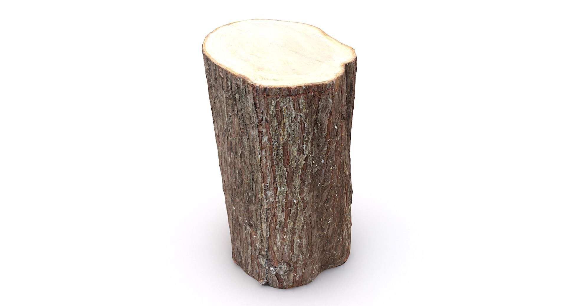 scan tree trunk stump model https://p.turbosquid.com/ts-thumb/1d/jiP49K/lv/treetrunk11_07/jpg/1613987587/1920x1080/fit_q87/23424231050525cf5302b434c444fa723c74dabc/treetrunk11_07.jpg