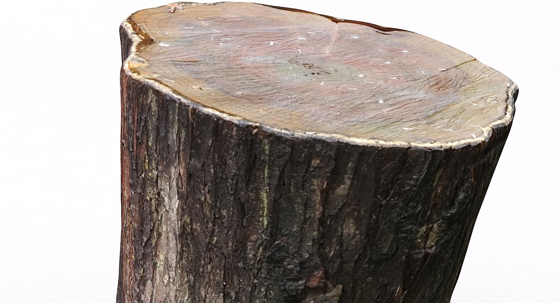scan tree trunk stump model https://p.turbosquid.com/ts-thumb/1d/jiP49K/nJ/treetrunkseat03_05/jpg/1613987716/1920x1080/fit_q87/5146ee341ff828a6e0b44ebf7fb69151bd8bd23b/treetrunkseat03_05.jpg