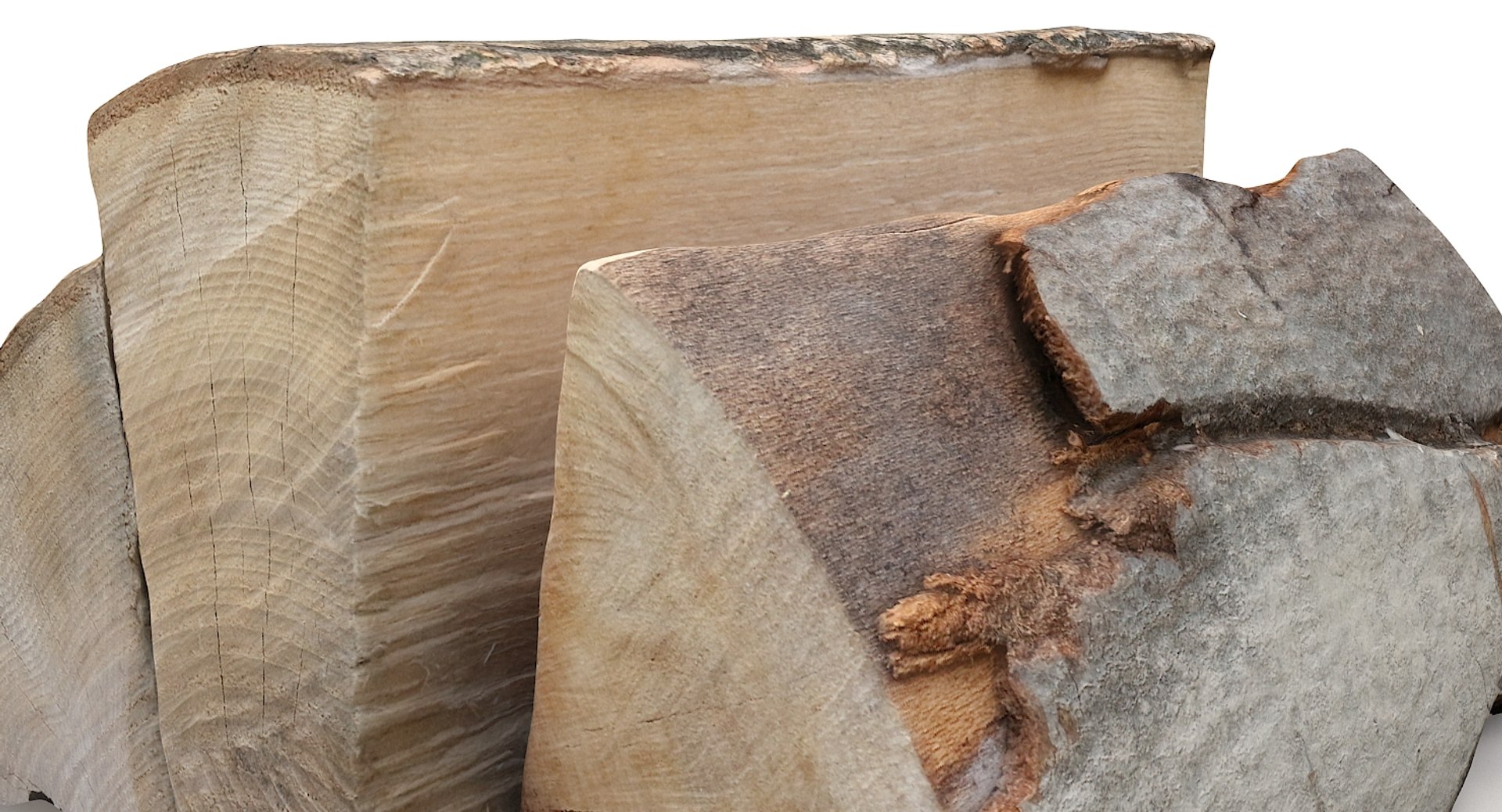 scan tree trunk stump model https://p.turbosquid.com/ts-thumb/1d/jiP49K/nO/woodlogs_11/jpg/1613987743/1920x1080/fit_q87/f44766b514c566cb5e0429207f69770d01bde714/woodlogs_11.jpg