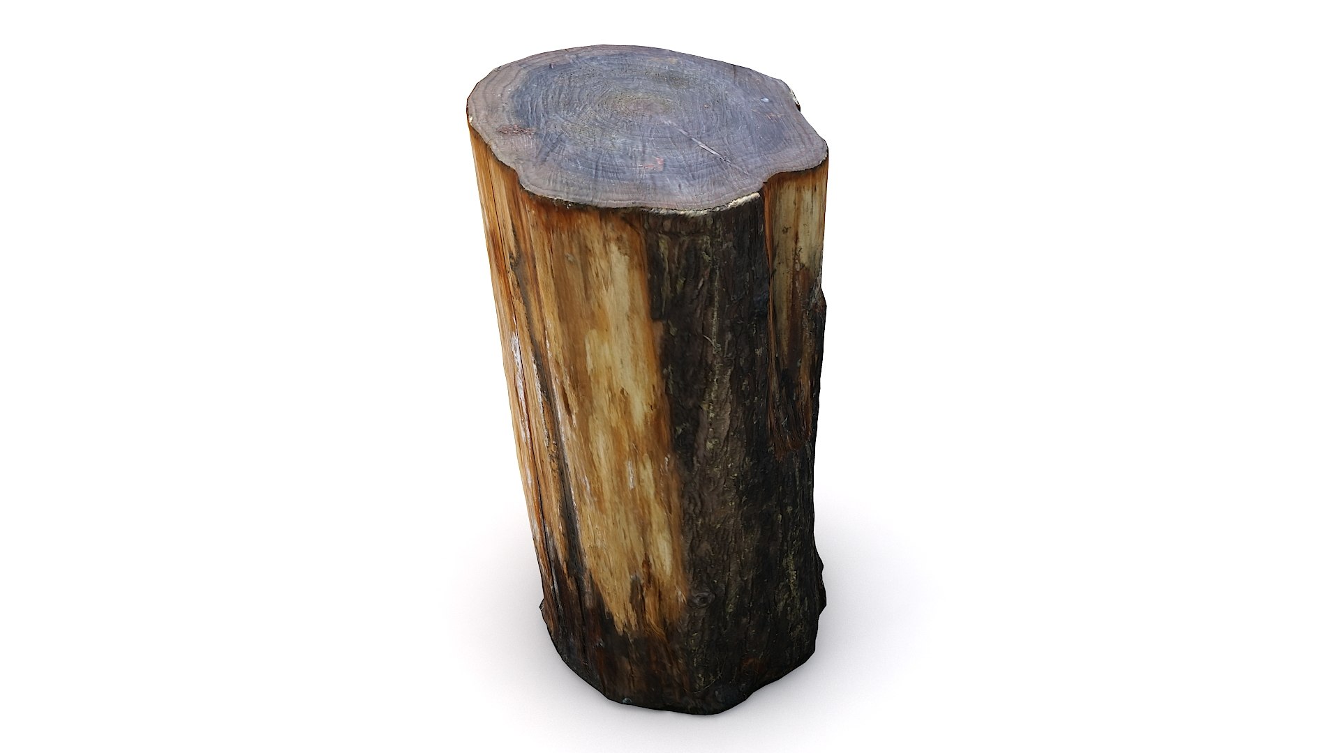 scan tree trunk stump model https://p.turbosquid.com/ts-thumb/1d/jiP49K/qU/treestump12_12/jpg/1613987616/1920x1080/fit_q87/ed5827cdf3e5a9fe834c5c259c4180508dd41cf6/treestump12_12.jpg
