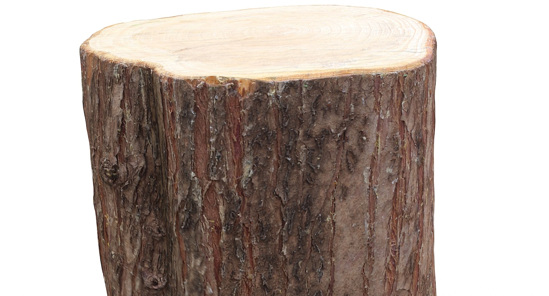 scan tree trunk stump model https://p.turbosquid.com/ts-thumb/1d/jiP49K/vK/treetrunk11_13/jpg/1613987589/1920x1080/fit_q87/41e9d3231265444dc58f6b42f4f91d9c6a98cd0b/treetrunk11_13.jpg