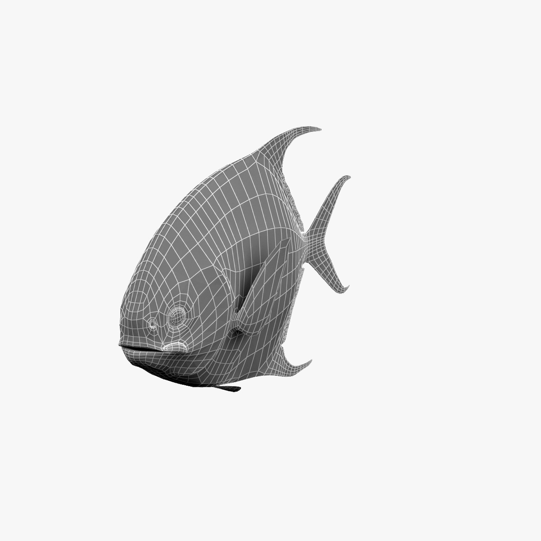 3d Model Permit Fish