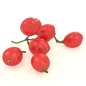Christmas Holly berries advertising decor