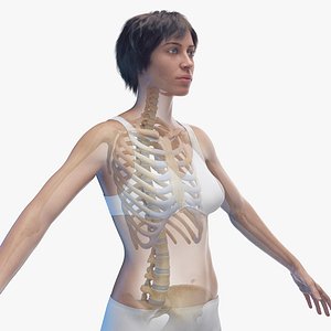 3D Human Female Body and Skeleton Static
