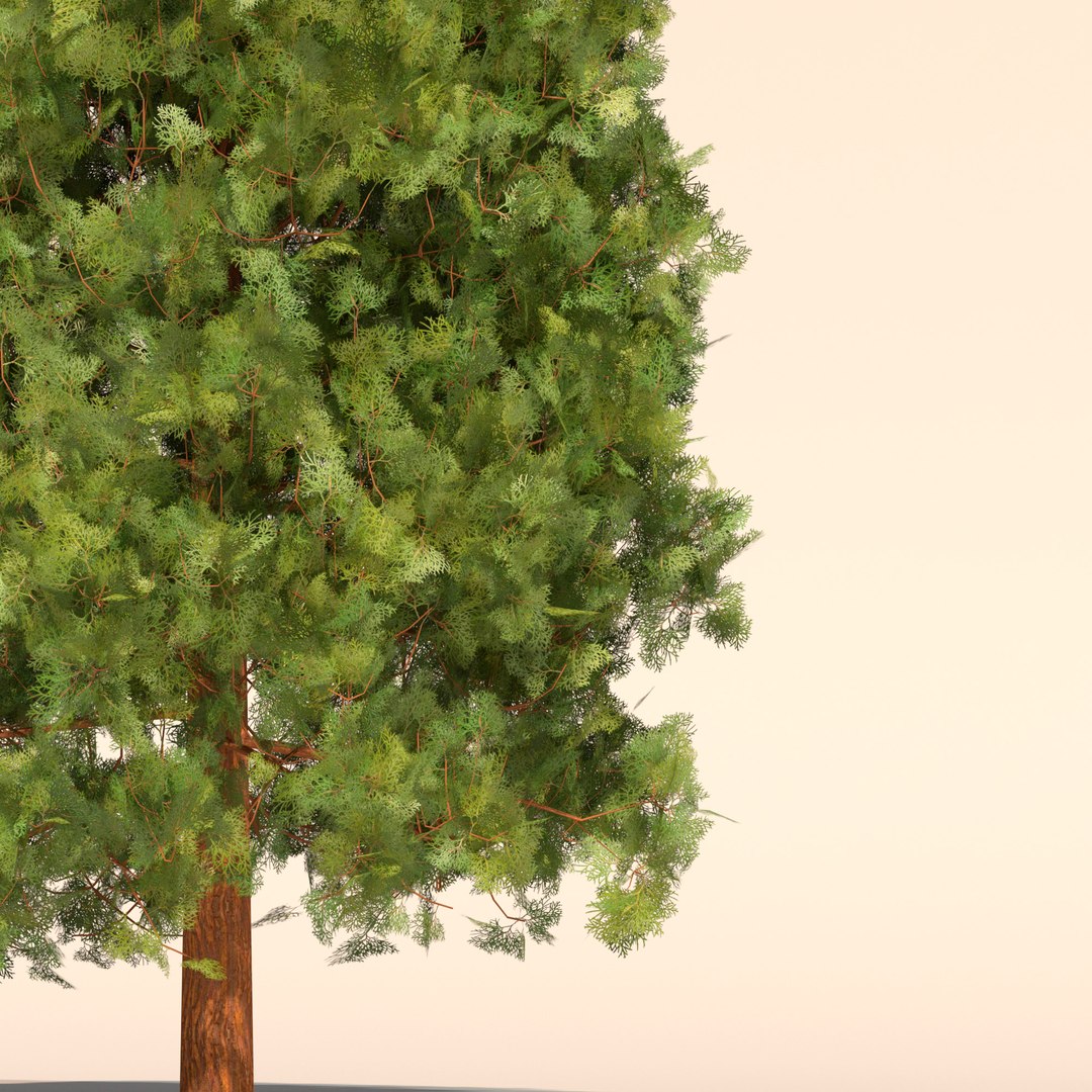 3D Garden thuja https://p.turbosquid.com/ts-thumb/1d/yhq30s/eE/7/jpg/1644609092/1920x1080/fit_q87/e58d1353f5b816d995b13fe5d1c95c3f682188b6/7.jpg