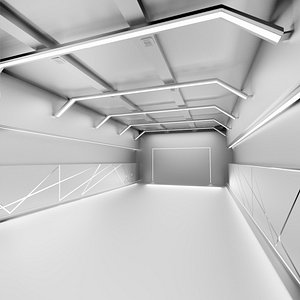 Car Garage to Loft Style