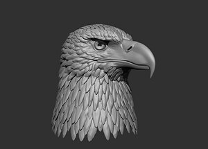 Eagle head 3D model