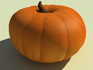 pumpkin 3d model