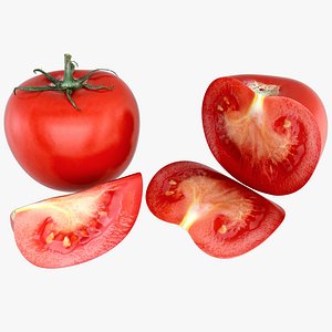 tomato 3d dxf