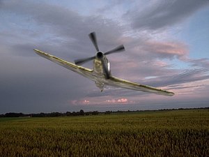 3d p51 p51d
