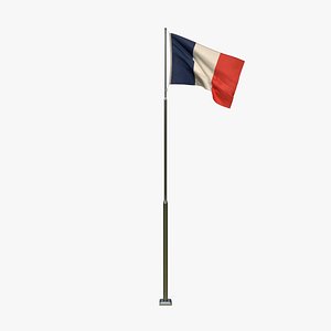 Animated  France Flag 3D model