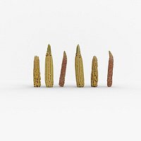 Corn cob of 3 Types in different stages