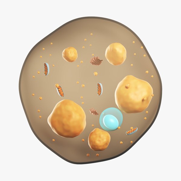 Beige Fat Cell 3D model