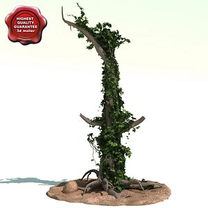 old tree ivy 3d model