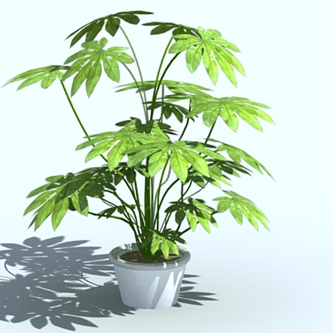office clutter desk computers 3d model https://p.turbosquid.com/ts-thumb/1e/VJI8ex/XMe8oI8T/pot1prv1/jpg/1222098915/1920x1080/fit_q87/53e158a60f05afde79d7cd6182bb6117828941c7/pot1prv1.jpg