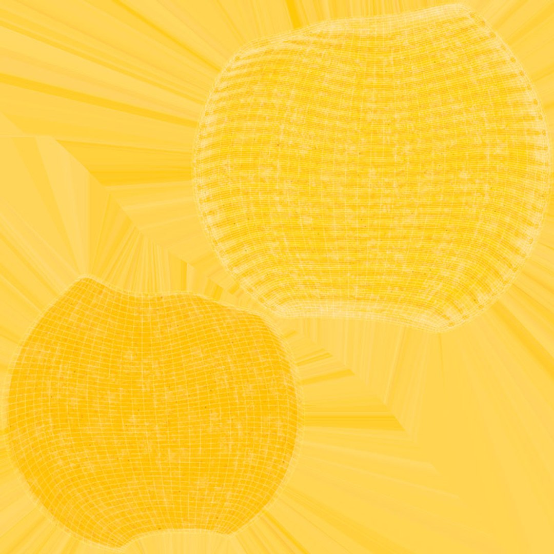 Raw Pasta Collection 2 3D model https://p.turbosquid.com/ts-thumb/1e/aPiXhn/XN/conchiglie_d0004/jpg/1744621200/1920x1080/fit_q87/e351c965453980d7d307d28aba146643179aee56/conchiglie_d0004.jpg