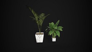Indoor Decorative Plants Set