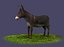 Donkeys  ranches  livestock breeding mammals