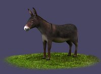 Donkeys  ranches  livestock breeding mammals