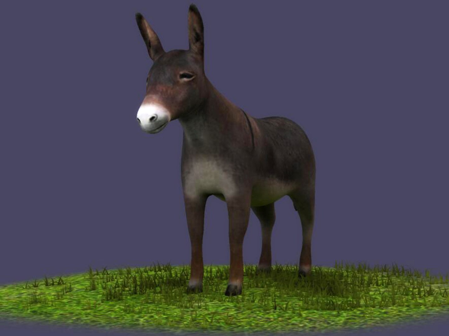 donkeys ranches livestock breeding 3D model https://p.turbosquid.com/ts-thumb/1e/mDH6L4/R5H2rogb/02/jpg/1602414082/1920x1080/fit_q87/864f8d5ab2f37be339127a1476d53ded86ef6ec8/02.jpg