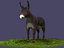 Donkeys  ranches  livestock breeding mammals