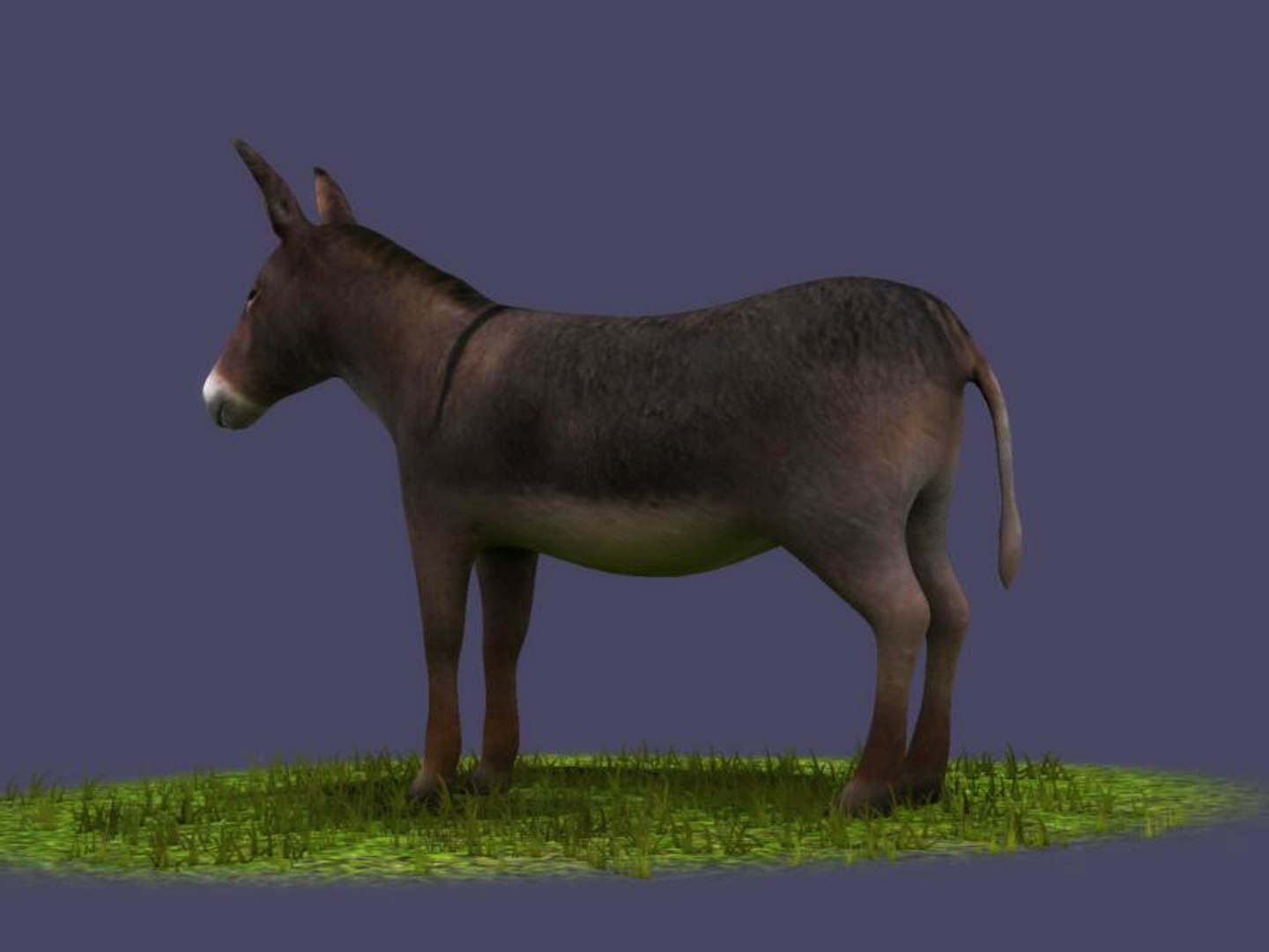 donkeys ranches livestock breeding 3D model https://p.turbosquid.com/ts-thumb/1e/mDH6L4/itmusXIZ/3223/jpg/1602414082/1920x1080/fit_q87/5242c3cf9886d233492a58b4d5d2c17ddcacd1f7/3223.jpg