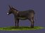 Donkeys  ranches  livestock breeding mammals