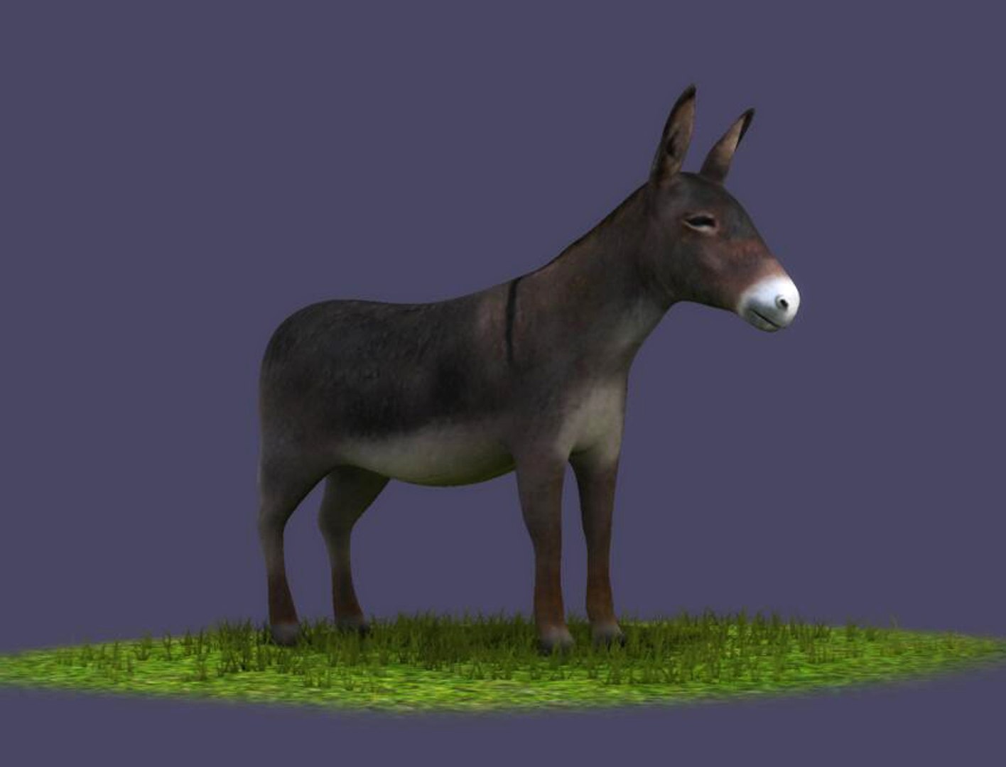 donkeys ranches livestock breeding 3D model https://p.turbosquid.com/ts-thumb/1e/mDH6L4/yivyl2DZ/04/jpg/1602414082/1920x1080/fit_q87/6ead266fecac8f10cf75d567f174ebfee3529284/04.jpg
