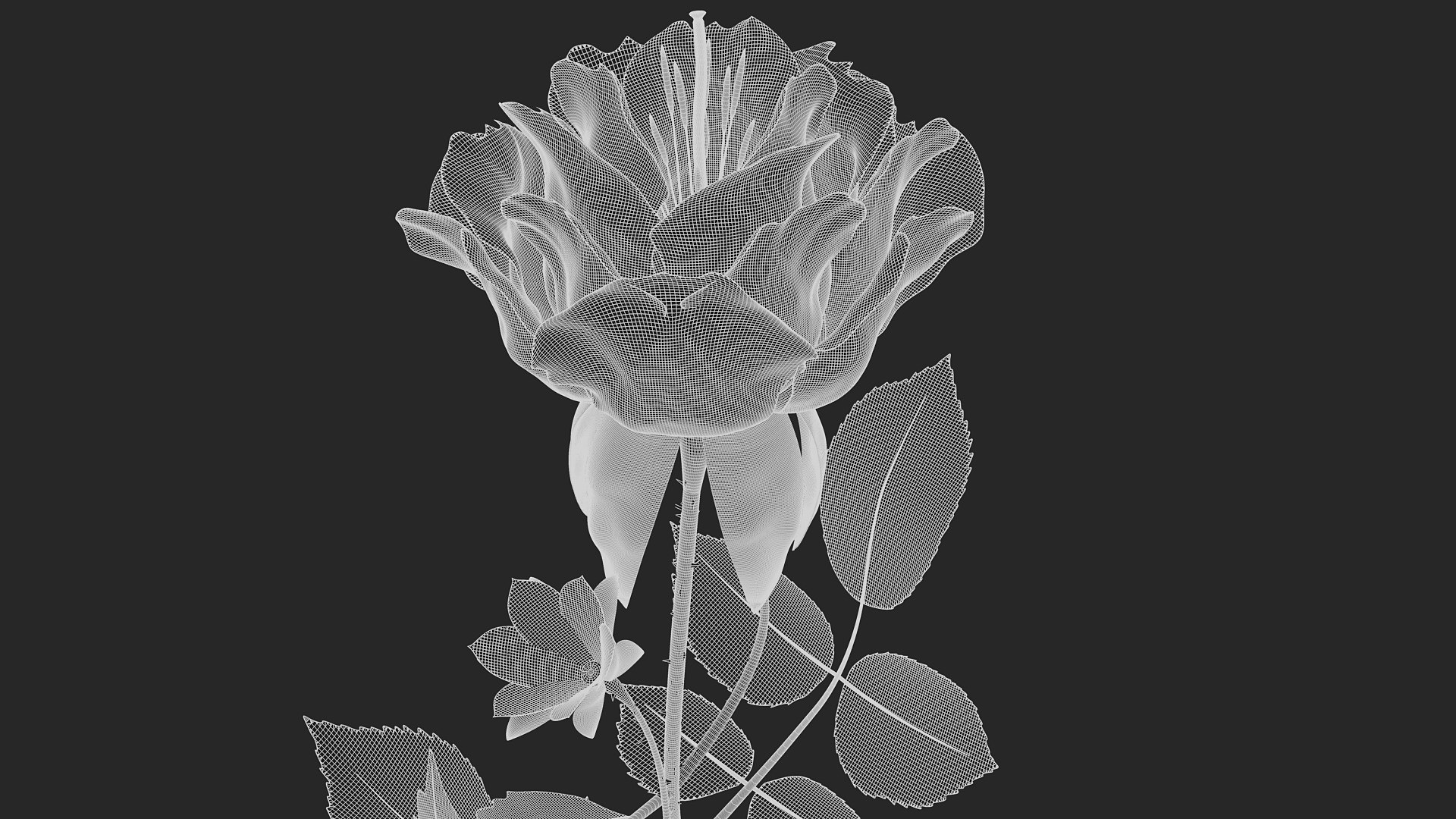 Procedural Flower in Cinema 4D 3D model https://p.turbosquid.com/ts-thumb/1e/nRaA3x/8k/flower_pics_1920x1080_9/jpg/1776243727/1920x1080/fit_q87/1a2ec9b852114f244efeb83af7068e2e7c672740/flower_pics_1920x1080_9.jpg