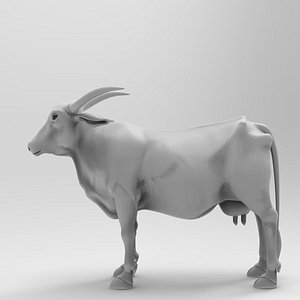animal cow nature model