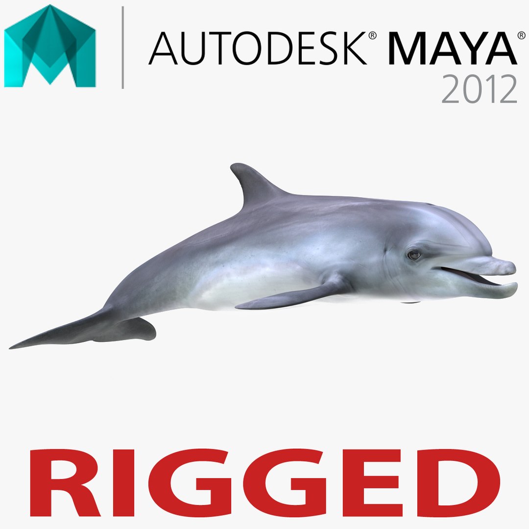 Dolphin Rigged for Maya 3D model preview