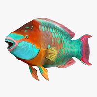 Tropical Parrotfish Rigged for Cinema 4D