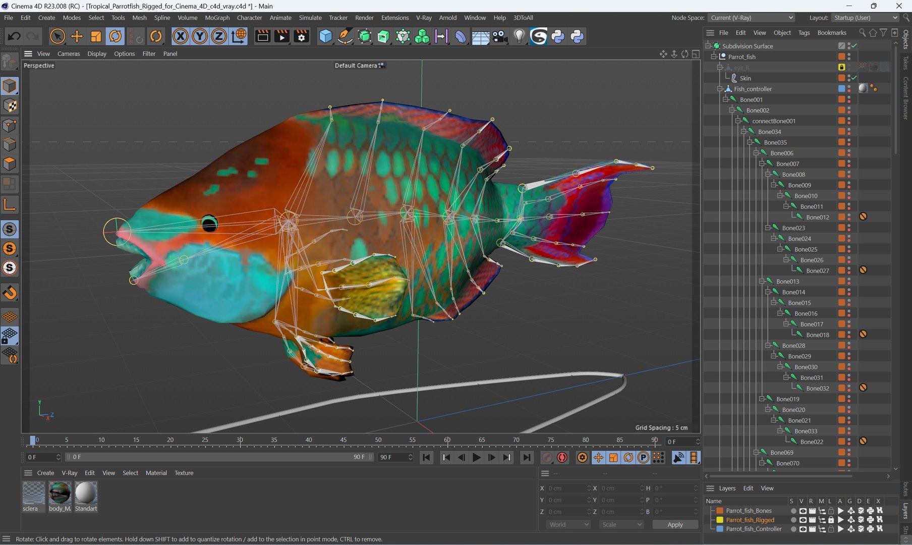 Tropical Parrotfish Rigged for Cinema 4D model https://p.turbosquid.com/ts-thumb/1f/2RS4TL/yi/tropical_parrotfish_rigged_for_cinema_4d_007/jpg/1744049953/1920x1080/fit_q87/8a7ca88f82bcf5d0414bc4d522bae0f59637292f/tropical_parrotfish_rigged_for_cinema_4d_007.jpg