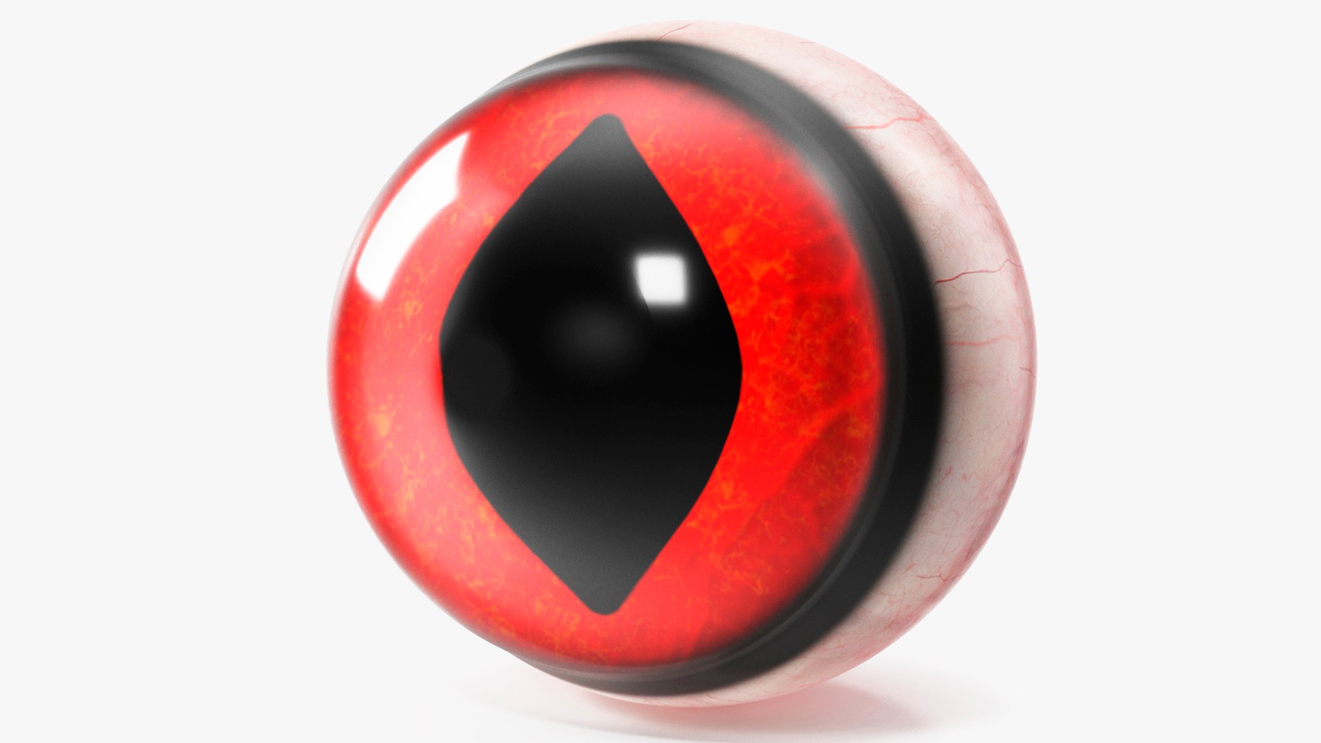 Realistic Tree Frog Eye 3D model preview
