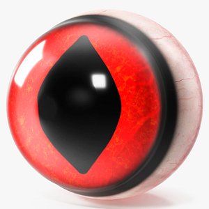 3D model Realistic Tree Frog Eye