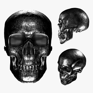 Reflective Metallic Human Skull